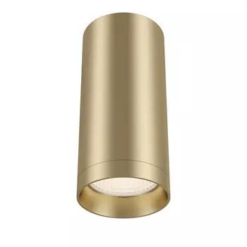 Потолочный светильник Focus GU10 1x50Вт Maytoni Technical C010CL-01MG