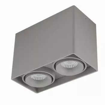 Накладной светильник Donolux Lumme DL18611/02WW-SQ Silver Grey