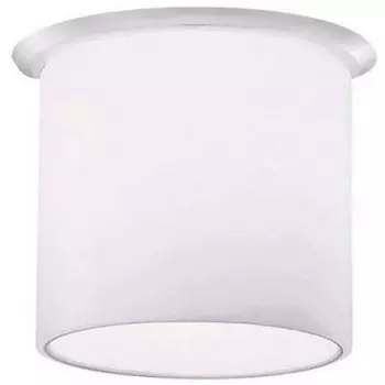 Точечный светильник Fabbian Mono D14F1101