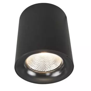 Точечный светильник светодиодный Arte Lamp Facile A5118PL-1BK
