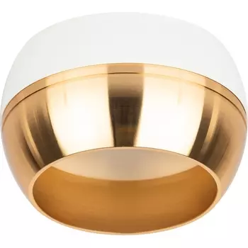 Точечный светильник ЭРА OL14 GX53 WH/GD