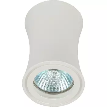 Точечный светильник ЭРА OL19 WH