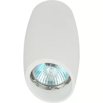 Точечный светильник ЭРА OL20 WH
