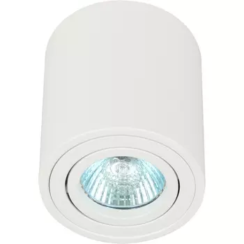 Точечный светильник ЭРА OL21 WH