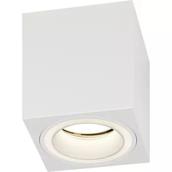 Точечный светильник ЭРА OL46 WH