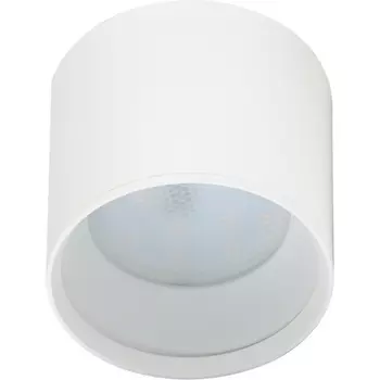 Точечный светильник ЭРА OL8 GX53 WH