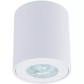 Точечный светильник влагостойкий накладной Arte Lamp Tino A1469PL-1WH