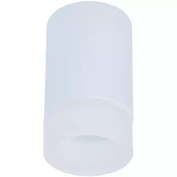 Точечный светильник накладной IL.0005.1500 WH Imex Leon