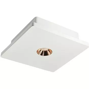 Точечный светильник светодиодный Architect 2OL1072-WG/1 (Loft It)