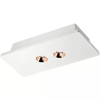 Точечный светильник светодиодный Architect 2OL1072-WG/2 (Loft It)