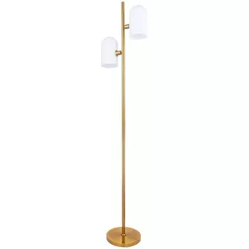 Торшер Arte Lamp Cassel A5454PN-2PB