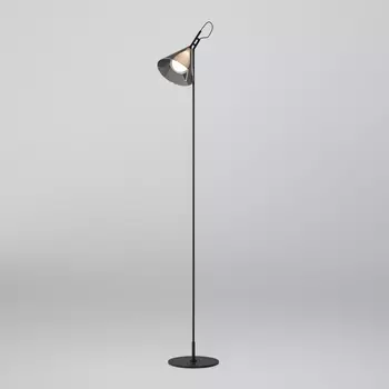 Торшер Eurosvet Enigma 01187/1