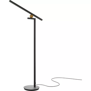 Торшер светодиодный с датчиком движения Maytoni Emphaty MOD363FL-L14B3K