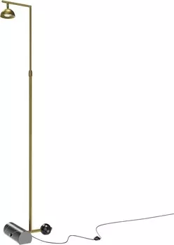 Торшер светодиодный Maytoni Pikant MOD372FL-L10BS3K