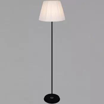 Торшер Reluce 08088-0.6-01 BK