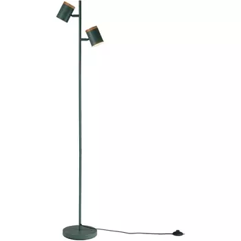 Торшер с выключателем Moderli Asheswood V11290-2F