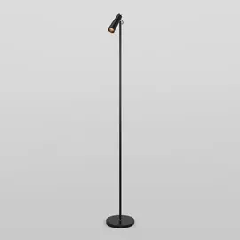 Торшер светодиодный с регулировкой цветовой температуры и яркости Joel 80430/1 (Eurosvet)