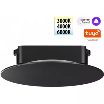 Трековый смарт-светильник для низковольтного шинопровода Novotech Easy 359475 черный с двумя режимами работы LED 6W 24V 3000-6000K (Умный дом, Алиса)