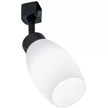 Трековый светильник однофазный 220V41052 Feron 41052