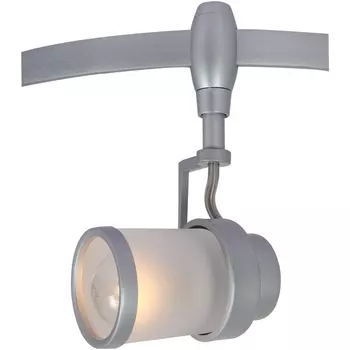 Трековый светильник рейлинговый 220V Arte Lamp Rail Heads A3056PL-1SI
