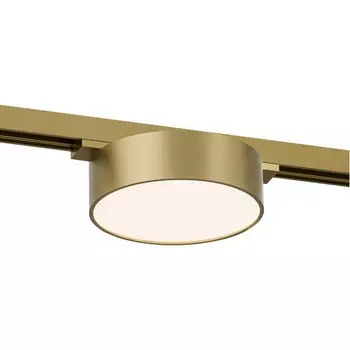 Трековый светильник LED для магнитного шинопровода Denkirs Shine Flow DK5762-SB 48V 8W сатинированная латунь