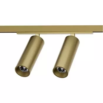 Трековый светильник LED для магнитного шинопровода Denkirs Shine Spot DK5742-SB 48V 8W*2 сатинированная латунь