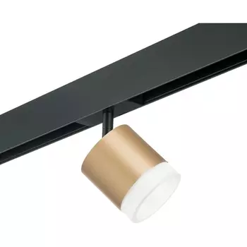 Трековый однофазный светильник 220V Lightstar Rullo для трека PRO Rullo PRO349080