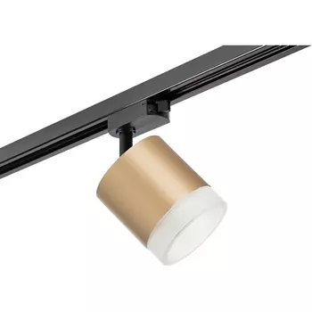 Трековый однофазный светильник 220V Lightstar Rullo R1T349080