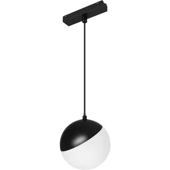 Трековый светильник магнитный MAG-VIBE-EMISFERO-HANG-R100-6W Day4000 (BK, 130 deg, 48V) (Arlight, IP20 Металл) 044165