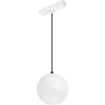 Трековый светильник магнитный MAG-VIBE-EMISFERO-HANG-R100-6W Warm3000 (WH, 130 deg, 48V) (Arlight, IP20 Металл) 044456