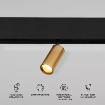 Трековый светильник с голосовым управлением 48V магнитный светодиодный Elektrostandard Slim Magnetic 85071/01 a063531 WIFI (Умный дом)