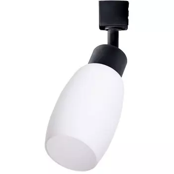 Трековый светильник однофазный 220V Arte Lamp Miia A3055PL-1BK