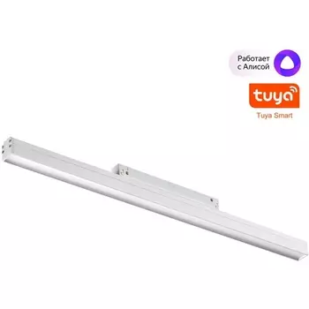 Трековый светильник низковольтный светодиодный Novotech Flum 359481 белый LED 24W 48V 3000-6500K (Умный дом, Алиса)