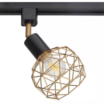 Трековый светильник однофазный 220V Arte Lamp Sospiro A6141PL-1GO