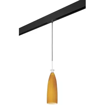 Трековый светильник однофазный 220V Lightstar Agola PRO810013