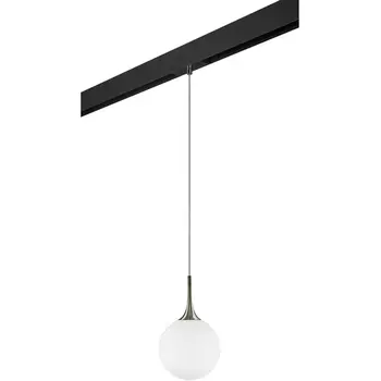 Трековый светильник однофазный 220V Lightstar Globo PRO813021