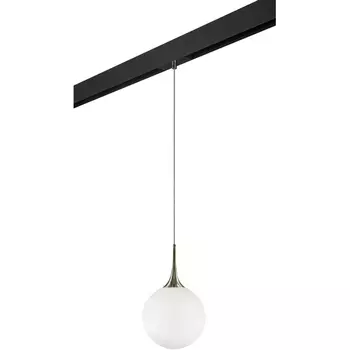 Трековый светильник однофазный 220V Lightstar Globo PRO813031