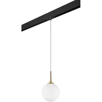 Трековый светильник однофазный 220V Lightstar Globo PRO813032