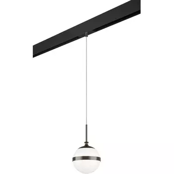 Трековый светильник однофазный 220V Lightstar Globo PRO813117