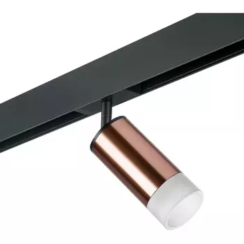 Трековый светильник однофазный 220V Lightstar Rullo PRO43031