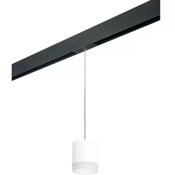 Трековый светильник однофазный 220V Lightstar Rullo PRORP348680