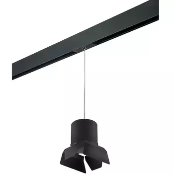 Трековый светильник однофазный 220V Lightstar Rullo PRORP3487487