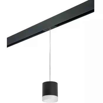 Трековый светильник однофазный 220V Lightstar Rullo PRORP348780