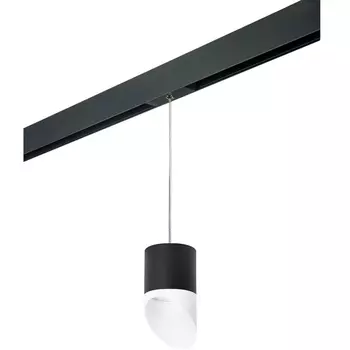 Трековый светильник однофазный 220V Lightstar Rullo PRORP348786