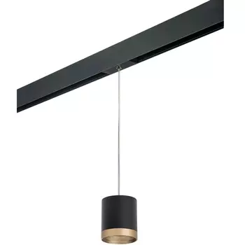 Трековый светильник однофазный 220V Lightstar Rullo PRORP348790