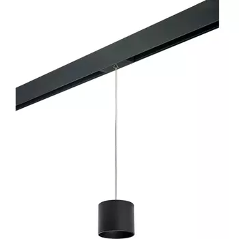 Трековый светильник однофазный 220V Lightstar Rullo PRORP3487