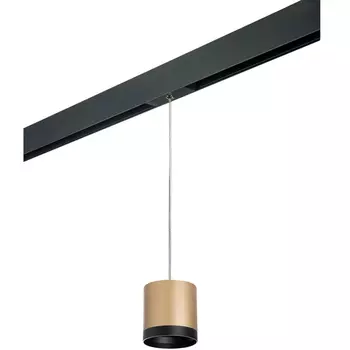 Трековый светильник однофазный 220V Lightstar Rullo PRORP34903487