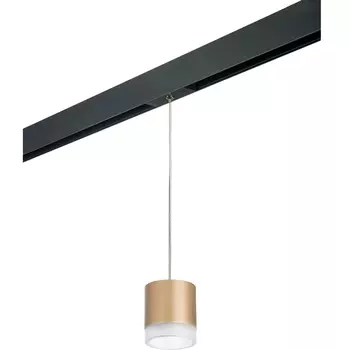 Трековый светильник однофазный 220V Lightstar Rullo PRORP349080