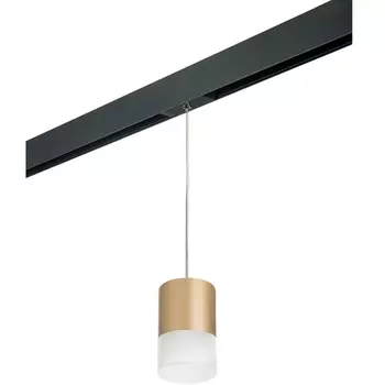 Трековый светильник однофазный 220V Lightstar Rullo PRORP349081