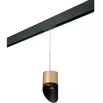 Трековый светильник однофазный 220V Lightstar Rullo PRORP349087